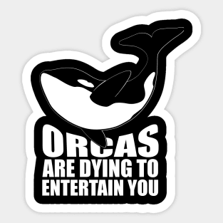 'Orcas Are Dying To Entertain' Animal Conservation Shirt Sticker